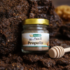 البروبوليس – العكبر